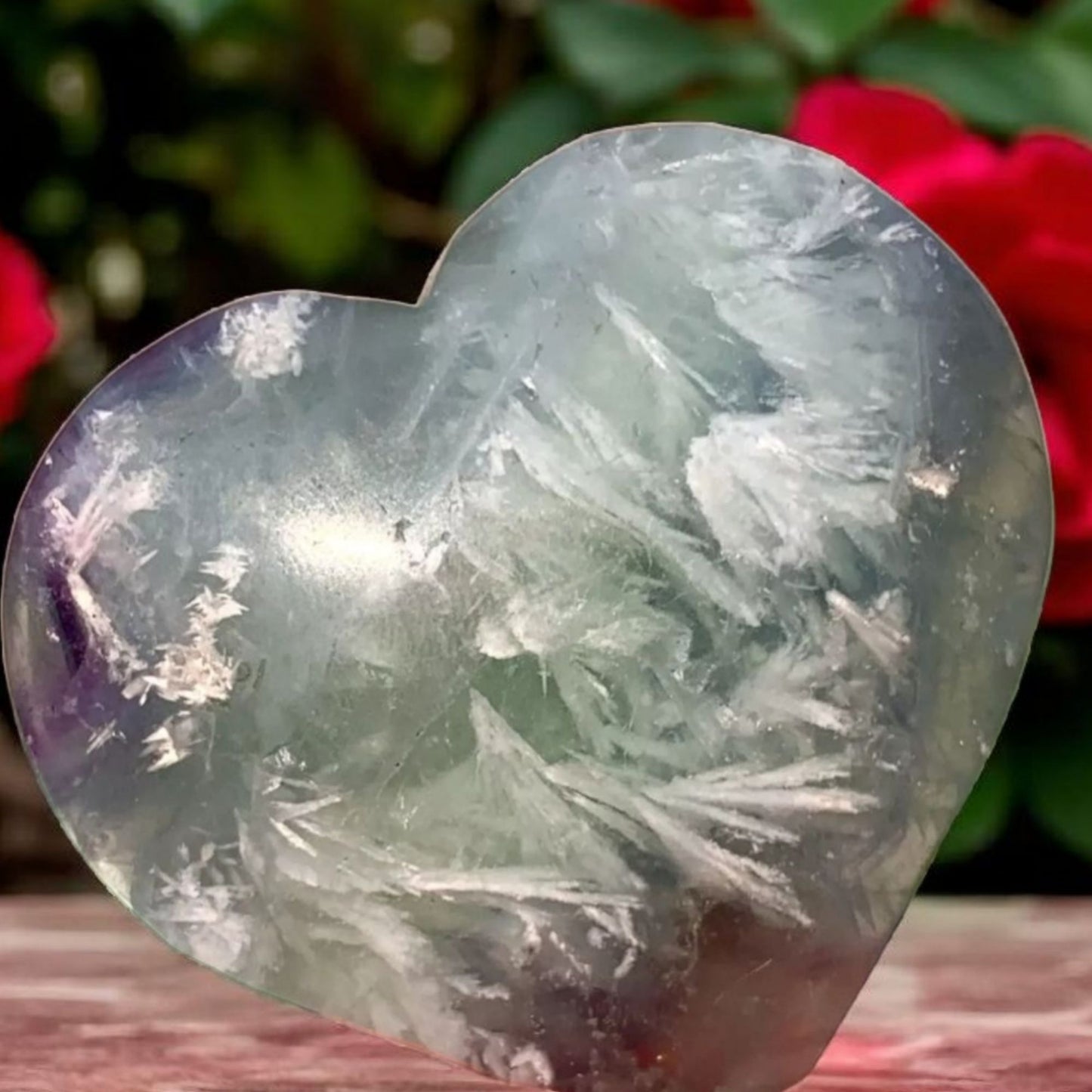 Feather Fluorite Snowflake Crystal – Rare Purple & Clear Raw Specimen