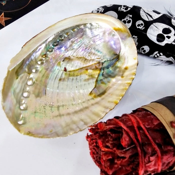 Smudging Set | Dragon's Blood Sage, Black Skull Feather, and Abalone Shell - A Gothic Universe - Smudging Sets