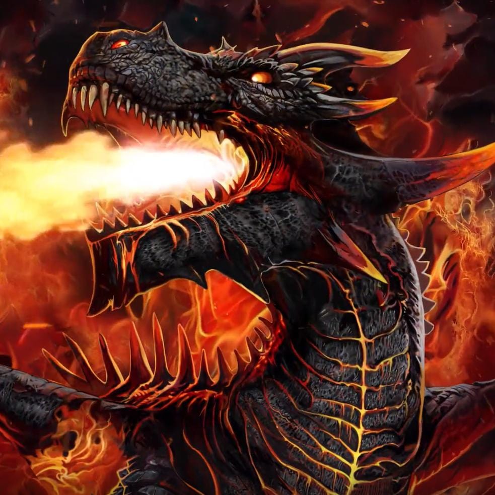 DRACONIS - T-Shirt Black -  - T-Shirts