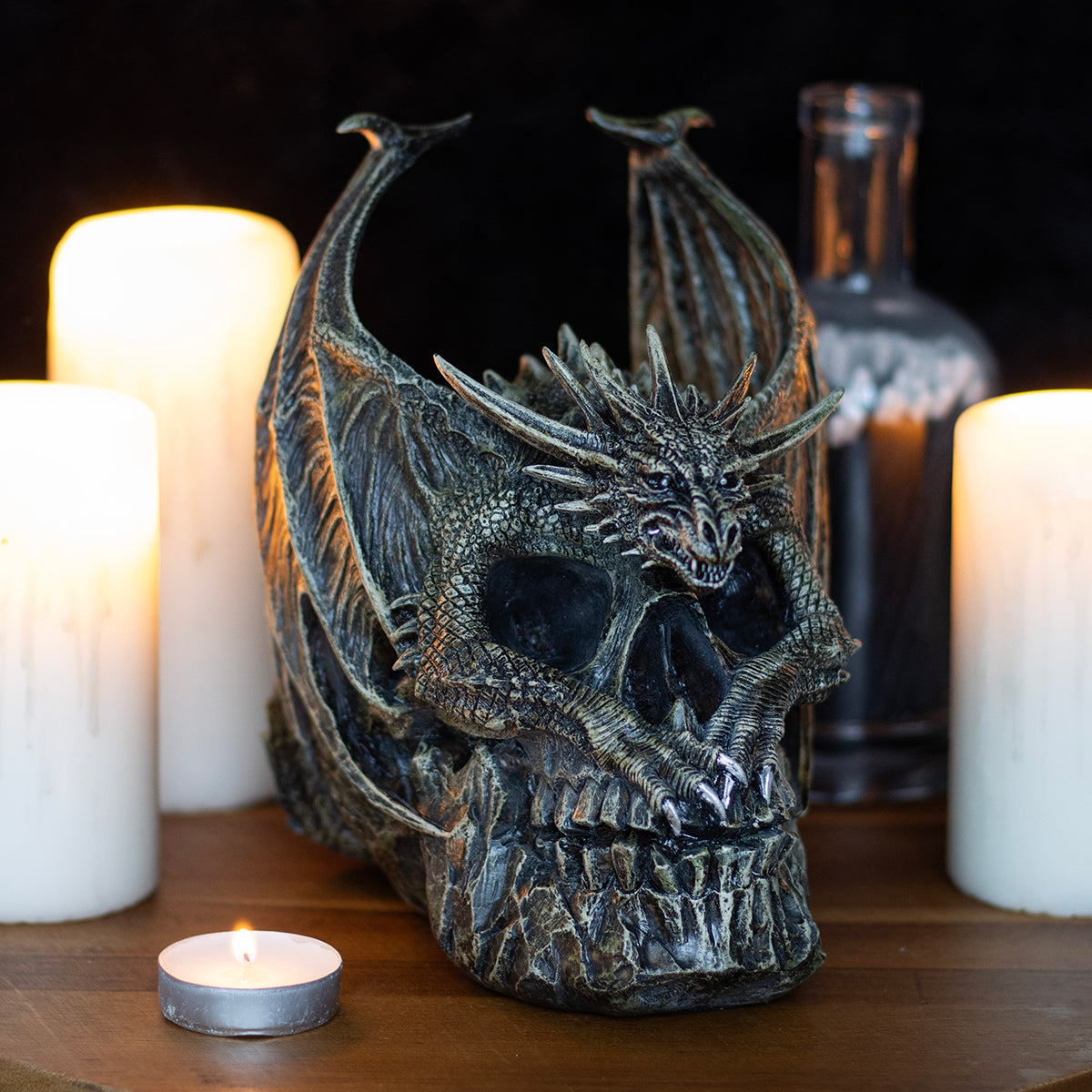 DRACO SKULL - Desk Top Sculpture - - Resin Sculptures