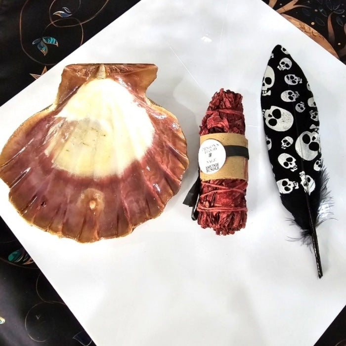 Smudging Set | Dragon's Blood Sage, Black Skull Feather & Tiger Shell - A Gothic Universe - Smudging Sets