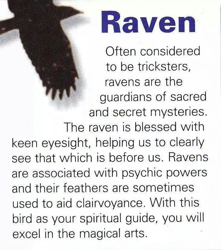 Eir Raven Necklace - - Pendant