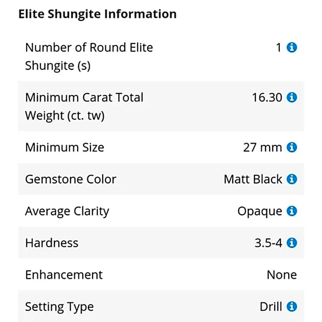 Leo Zodiac | 16.30ctw Shungite 925SS 18" Necklace - A Gothic Universe - Necklaces