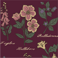 Baneful Botany Crew Socks -  - Socks