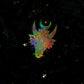 crystals for the zodiacs sticker -  - 