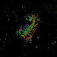 crystals for the zodiacs sticker -  - 