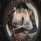 She's Deadly Lace Bralette & Panty Set | Ivory - Killstar - Lingerie