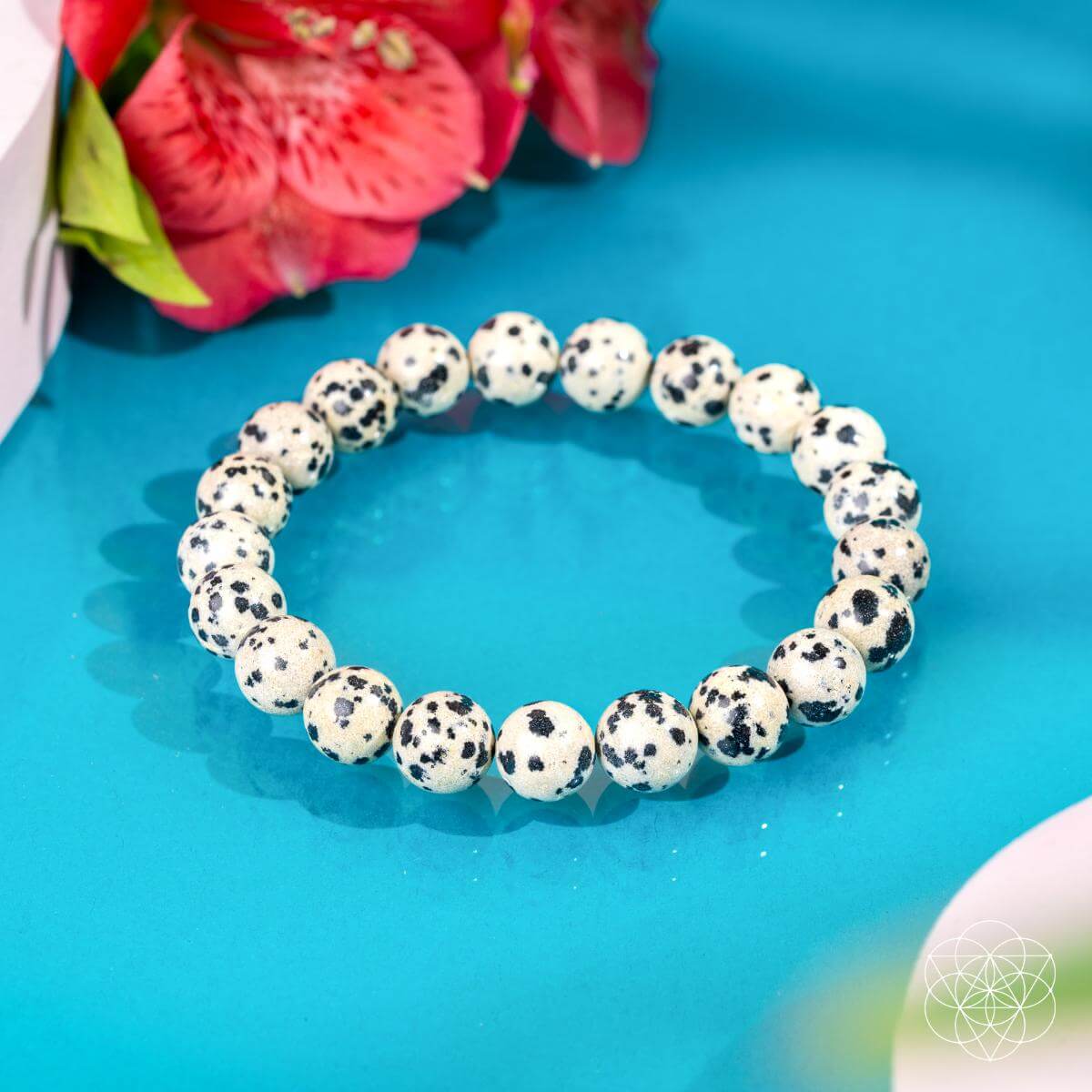 Emotional Detox - Dalmatian Jasper Bracelet -  - Bracelet