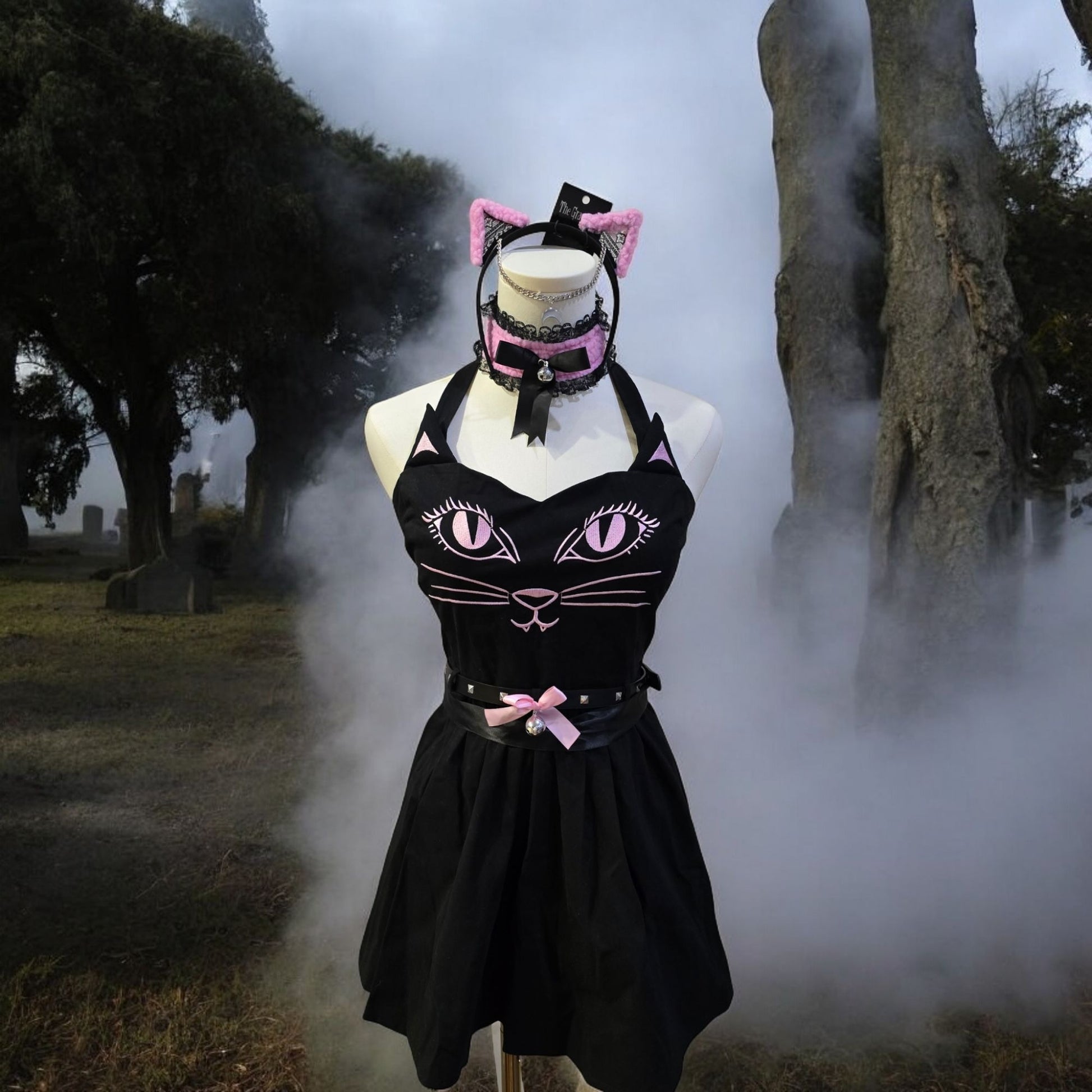 Right Meow 5-Piece Black & Pink Kitty Set Dress & Accessories -  - Costumes