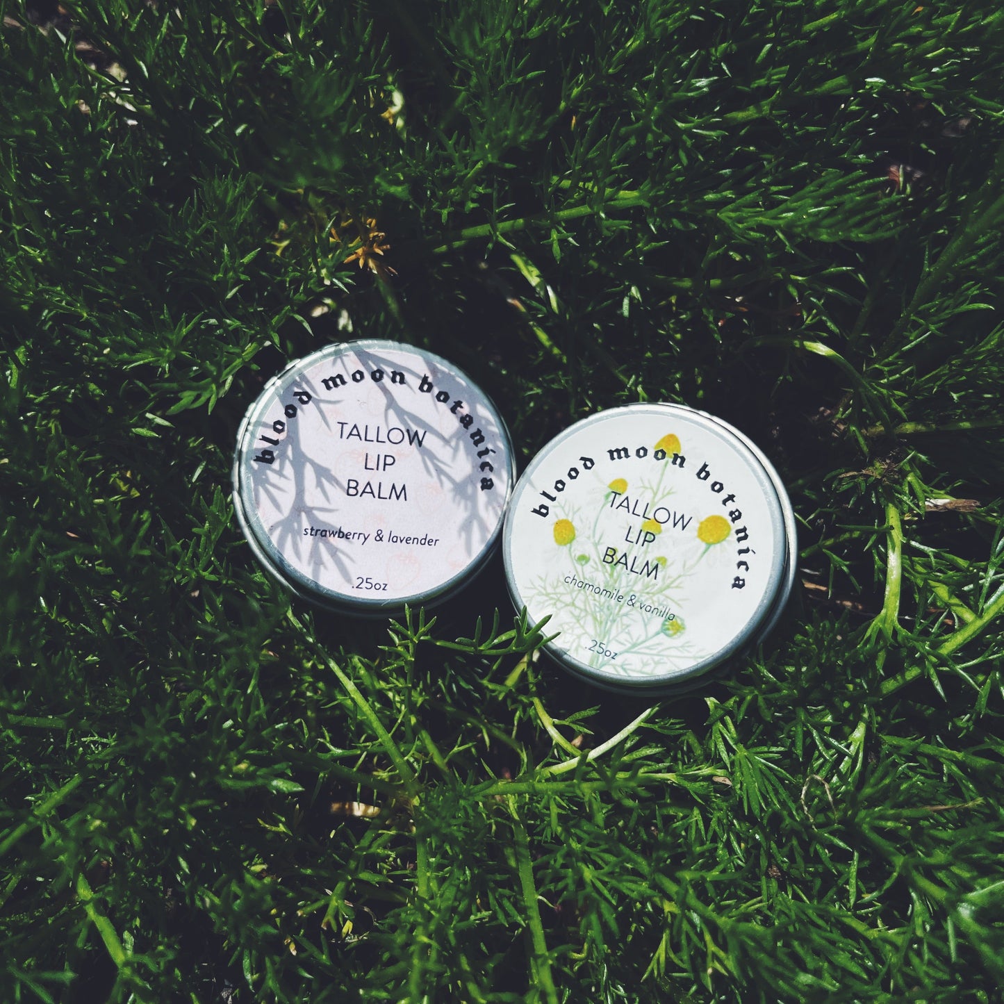 Tallow (Calendula Infused) Lip Balm -  - 