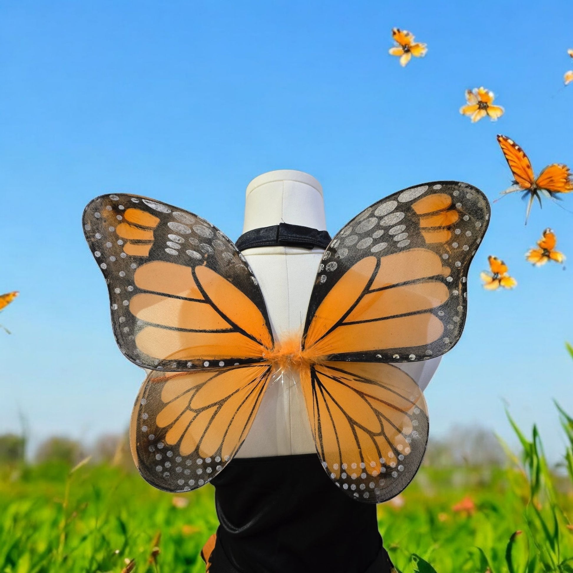 Butterfly Wings Costume Black Orange Adult -  - Costumes