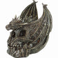 DRACO SKULL - Desk Top Sculpture -  - Resin Sculptures