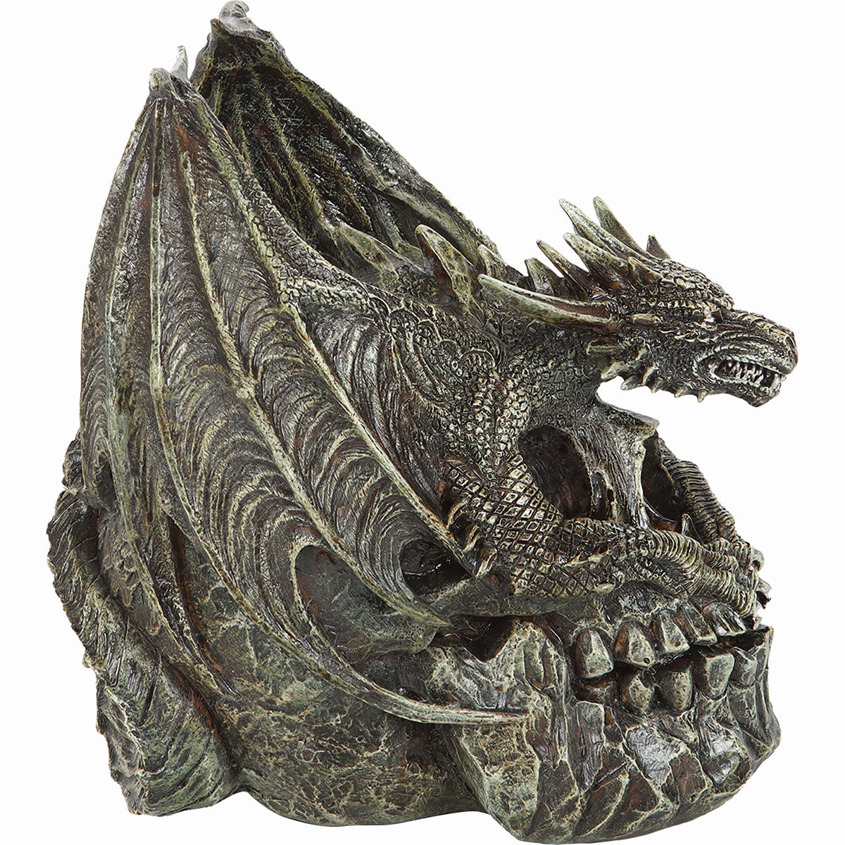 DRACO SKULL - Desk Top Sculpture -  - Resin Sculptures