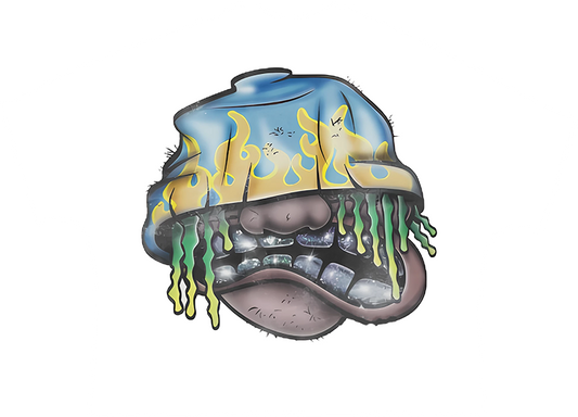 Rocky Oversized Crop Top - Super Max Heavyweight Streetwear Essential