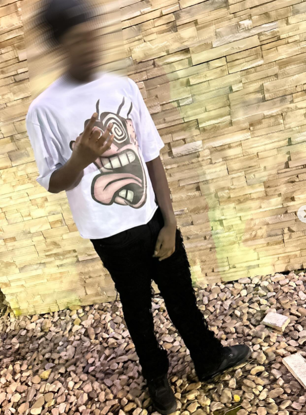 Ed Oversized Crop Top - Super Max Heavyweight Streetwear Essential