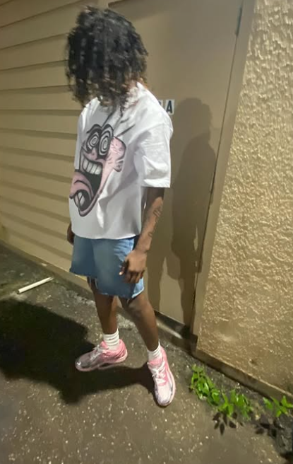 Ed Oversized Crop Top - Super Max Heavyweight Streetwear Essential