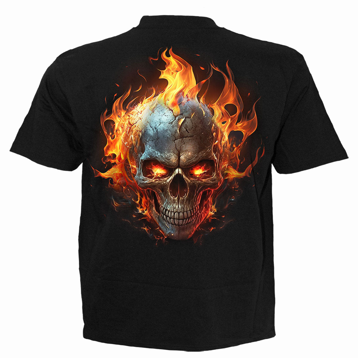 NIGHT RIDER - T-Shirt Black -  - T-Shirts