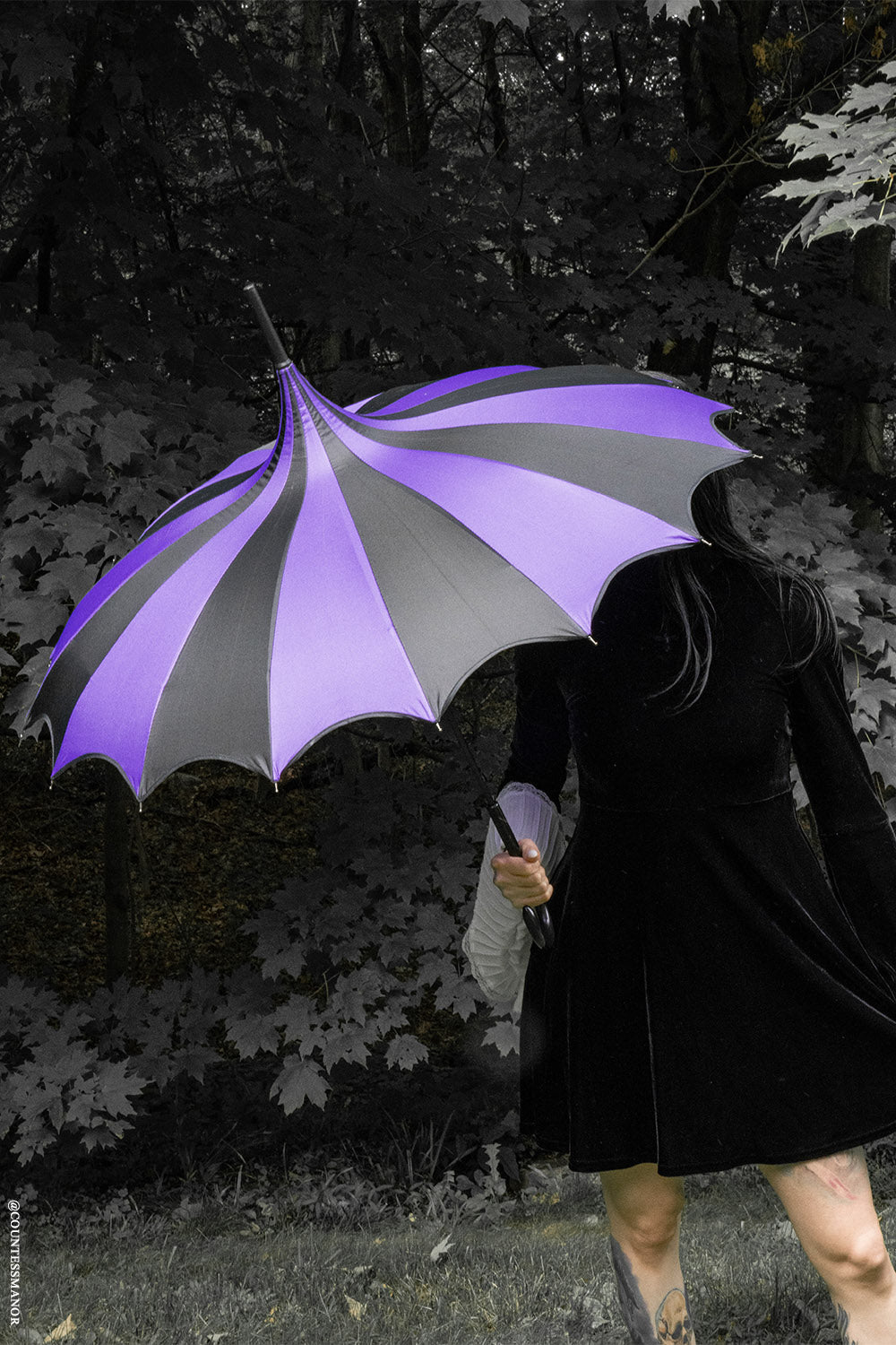 Batwing Pagoda Umbrella [BLACK/DARK PURPLE]