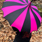 Batwing Pagoda Umbrella [BLACK/HOT PINK STRIPED] -  - Umbrellas