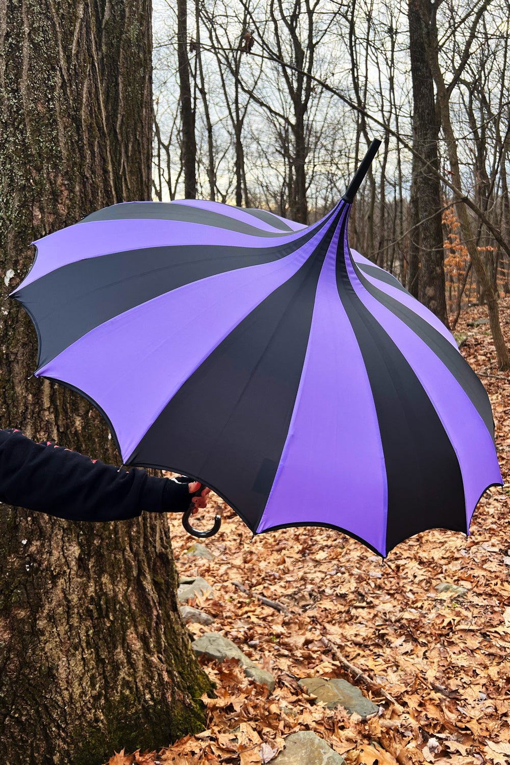Batwing Pagoda Umbrella [BLACK/LIGHT PURPLE]