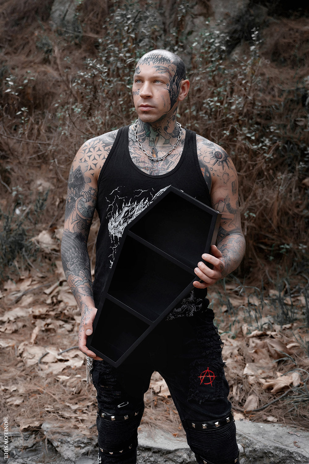 Deluxe Wood 20" Goth Coffin Shelf