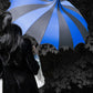Batwing Pagoda Umbrella [BLACK/BLUE] -  - Umbrellas