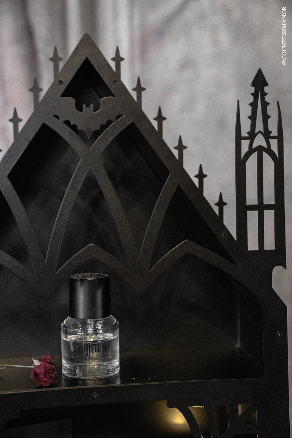 Gothic Cathedral Shelf