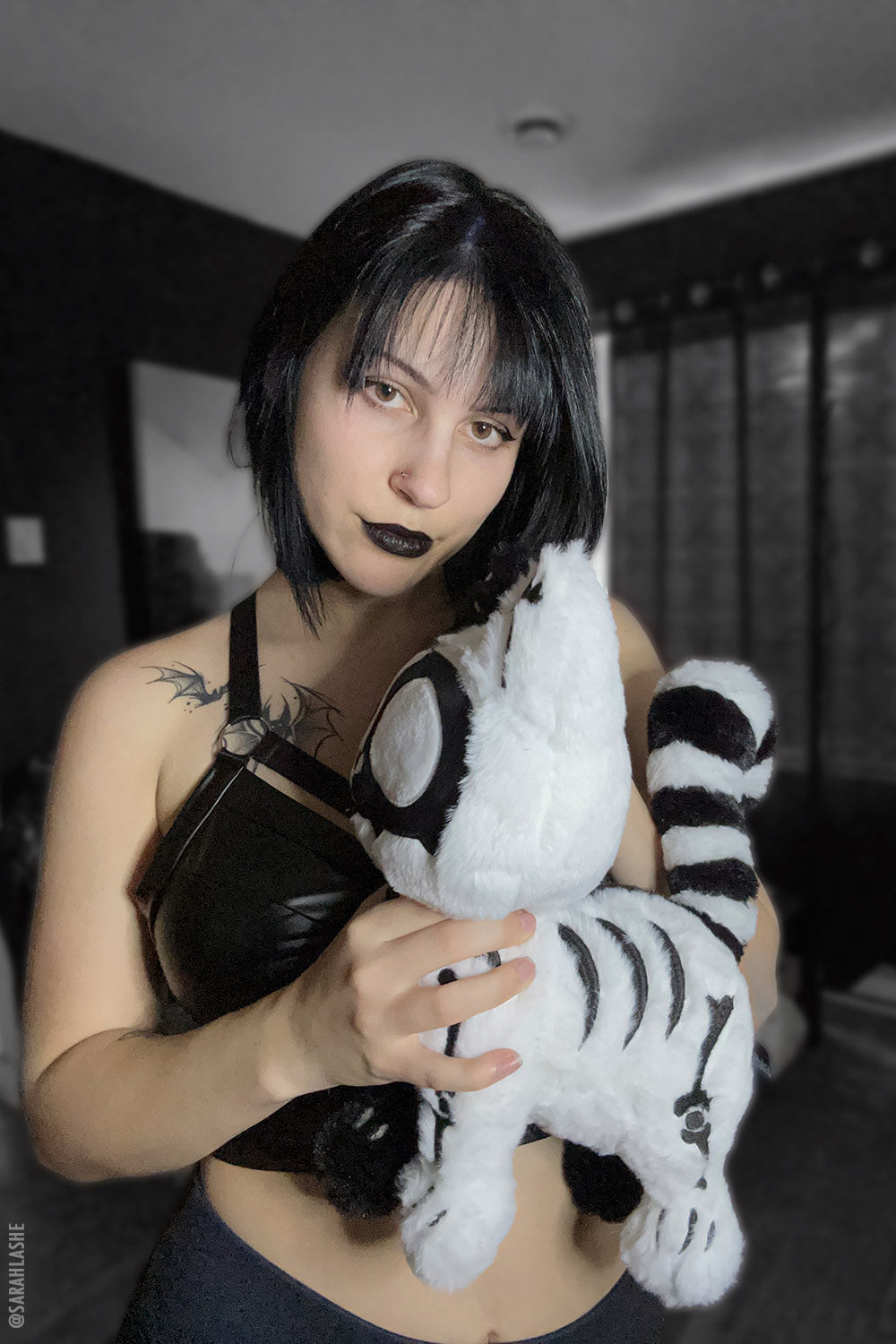 Splitzokitty Plush Toy [Black/White] [Limited Edition] -  - Plushies