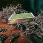 Green Glyphs Box Set -  - Tarot Cards