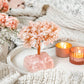 Home Sweet Home - Feng Shui Rose Quartz Tree -  - Crystal Tree