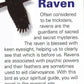 Eir Raven Necklace -  - Pendant