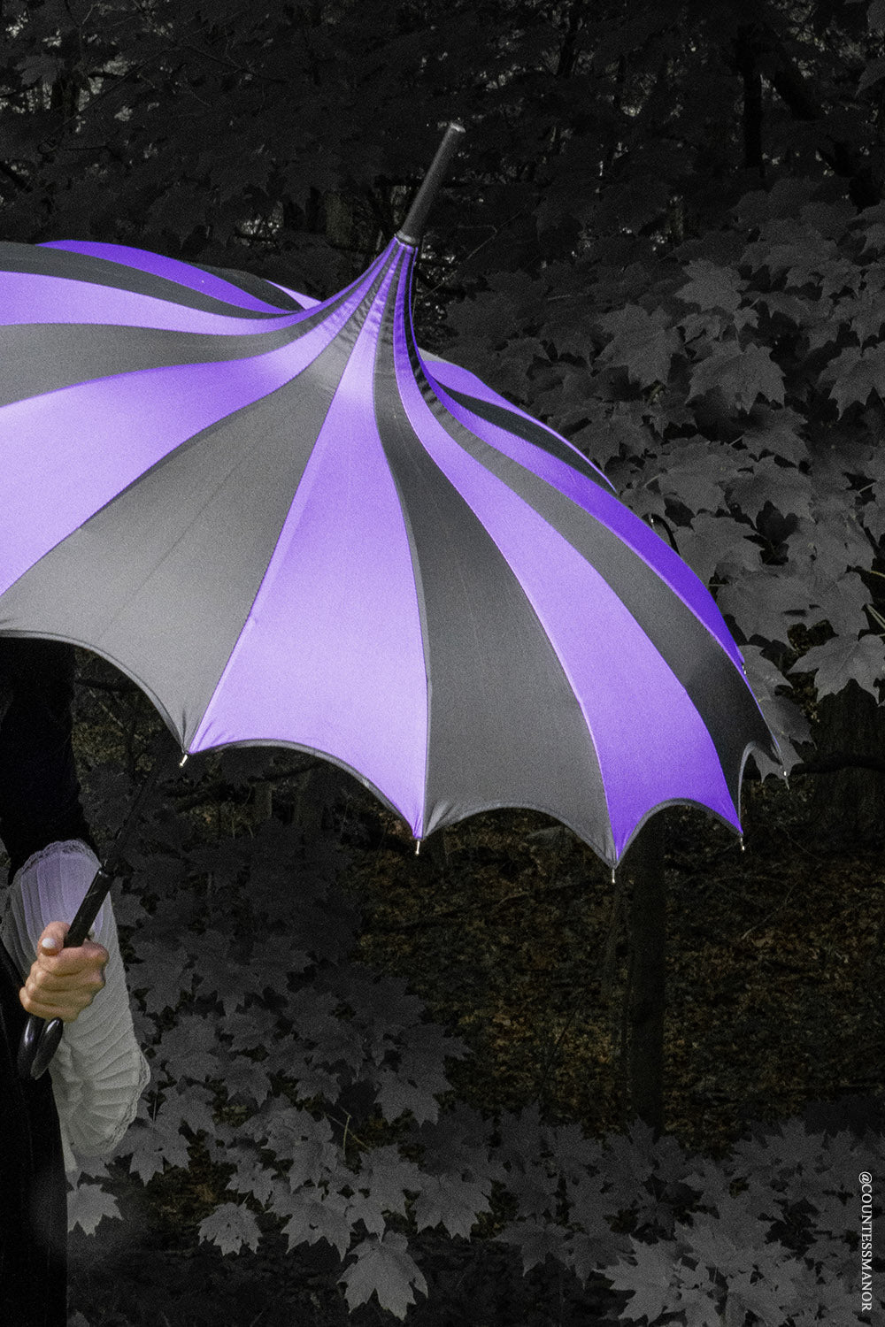 Batwing Pagoda Umbrella [BLACK/DARK PURPLE]