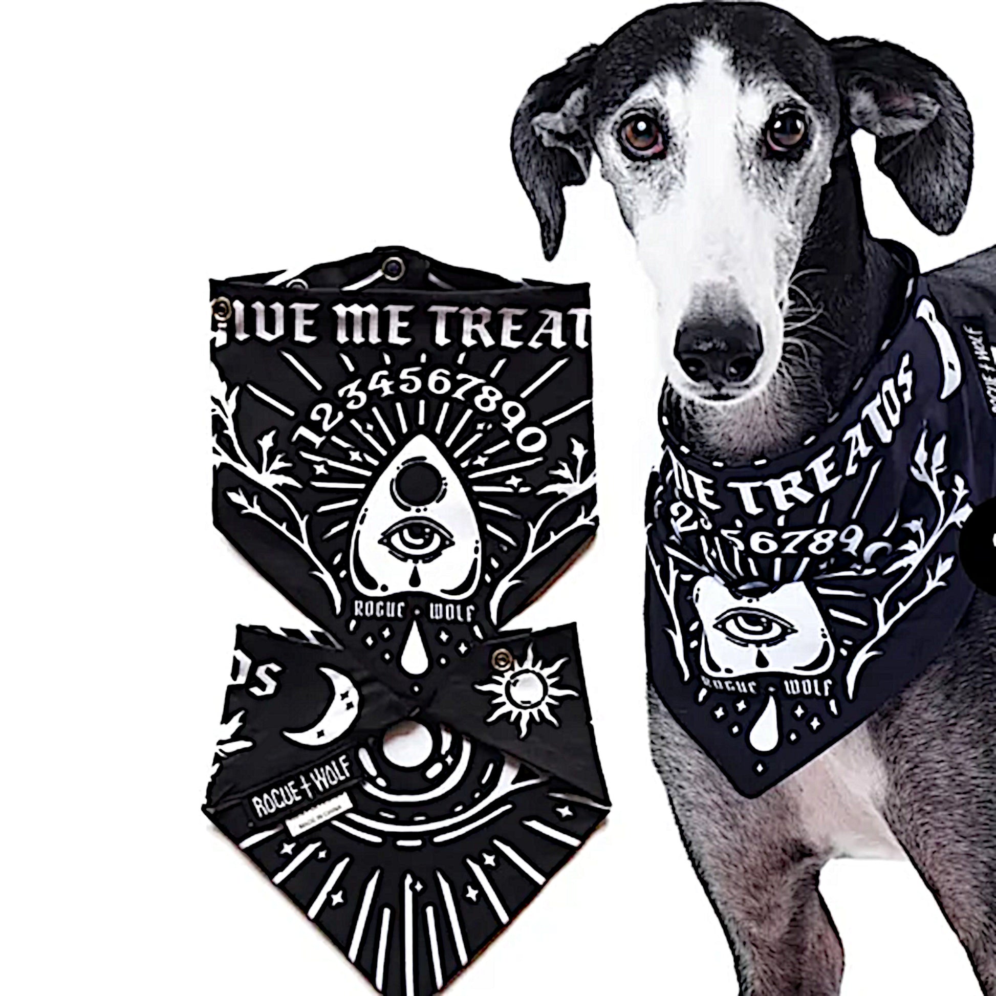 Pet Bandana | Give Me Treatos Ouija Black Vegan Bandana Dog or Cat - Rogue + Wolf - Pet Bandanas