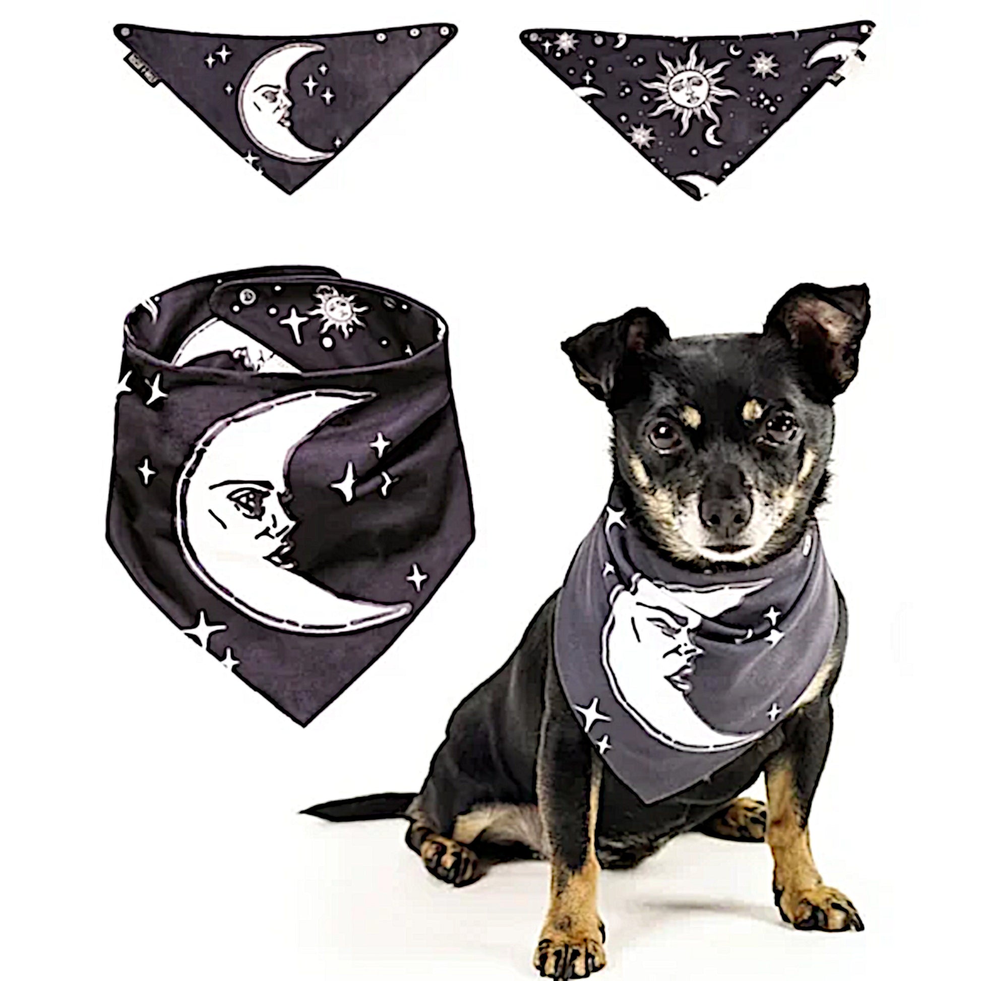 Pet Bandana | Reversible Celestial Print Black White Snap Closure - Rogue + Wolf - Pet Bandanas