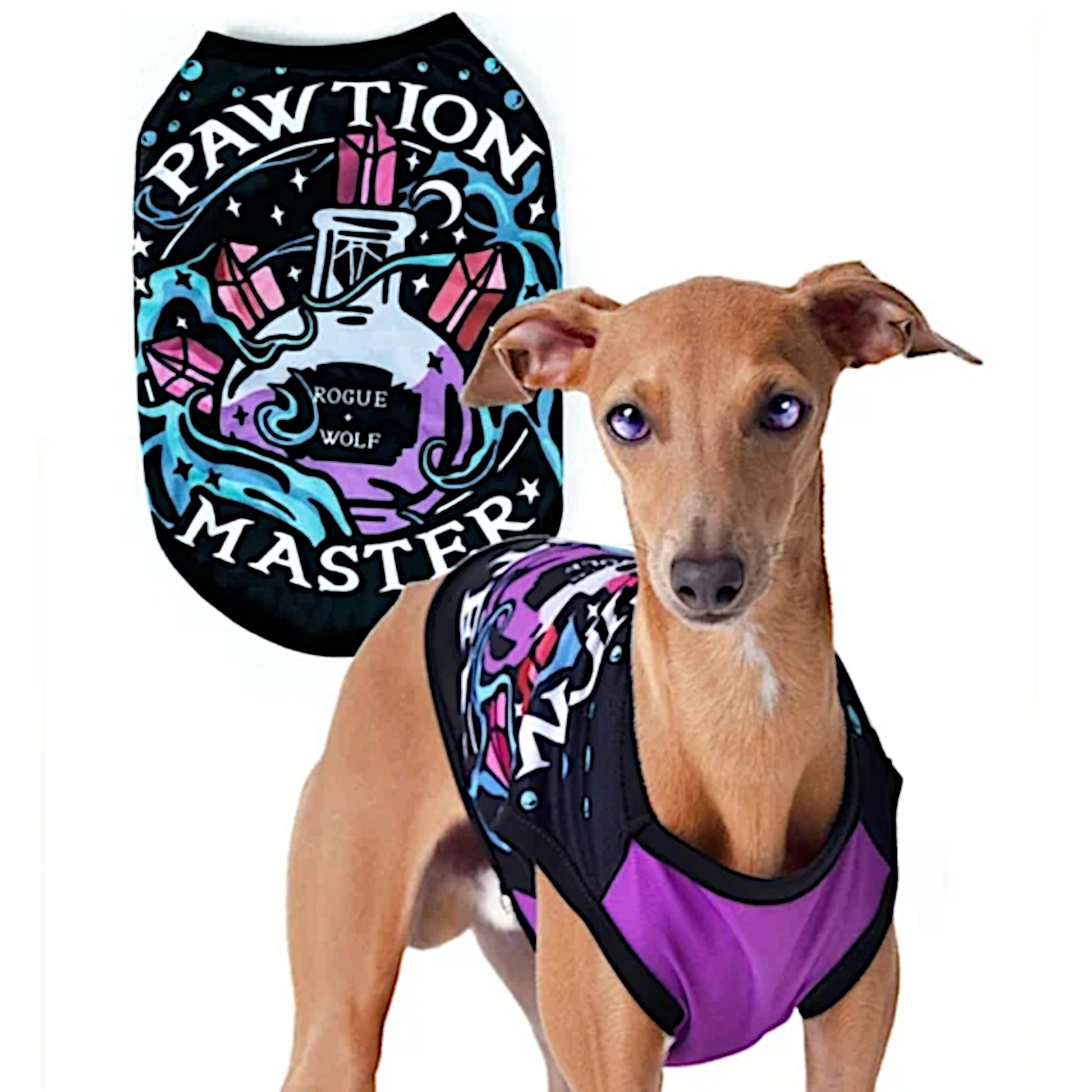 Pawfection Pet Vest | Pawtion Master Soft Comfy Magical Purple Black Pet Vest - Rogue + Wolf - Pet Vests