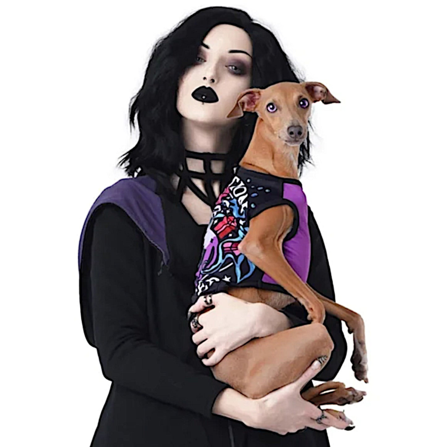 Pawfection Pet Vest | Pawtion Master Soft Comfy Magical Purple Black Pet Vest - Rogue + Wolf - Pet Vests