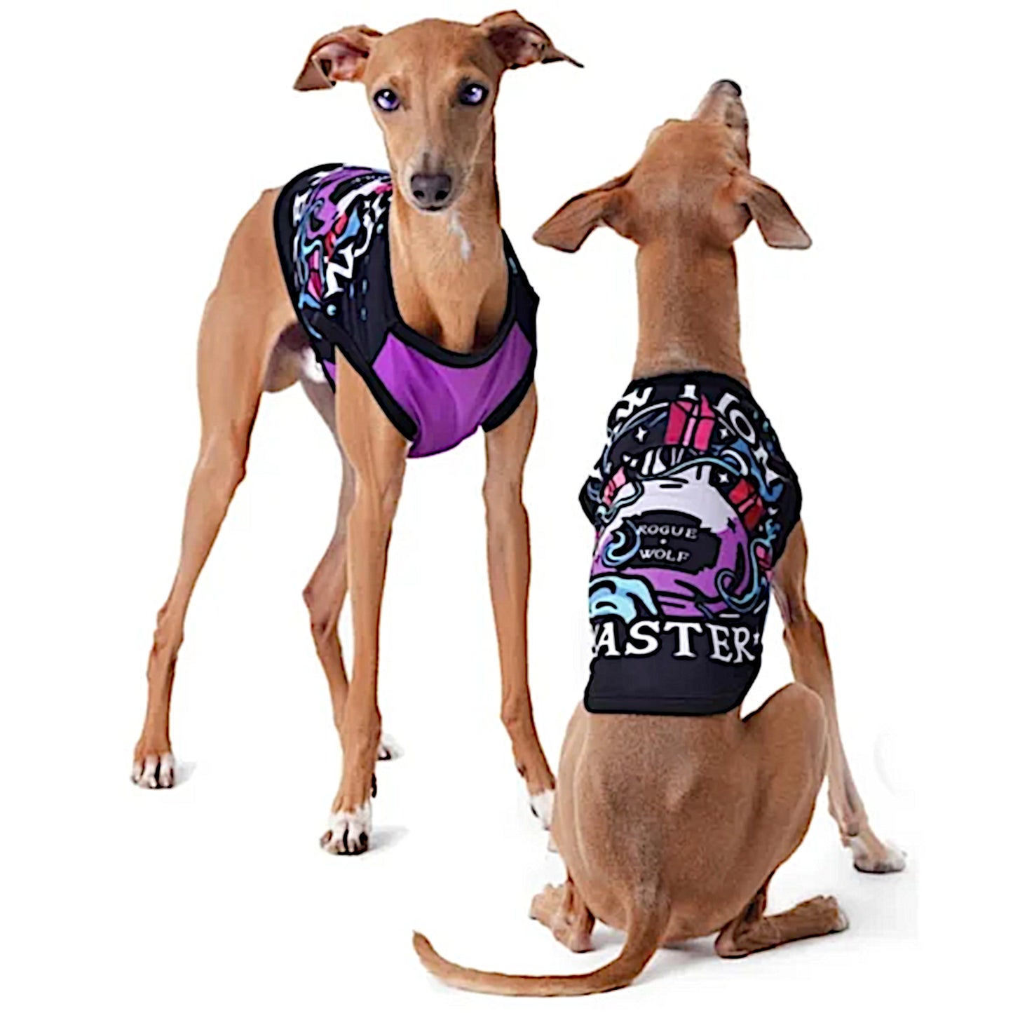 Pawfection Pet Vest | Pawtion Master Soft Comfy Magical Purple Black Pet Vest - Rogue + Wolf - Pet Vests
