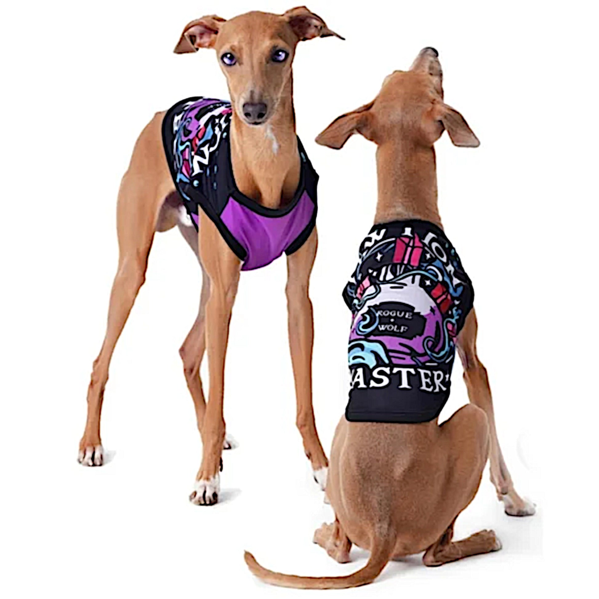 Pawfection Pet Vest | Pawtion Master Soft Comfy Magical Purple Black Pet Vest - Rogue + Wolf - Pet Vests