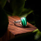 The Heart-Healing Ring -  - Ring