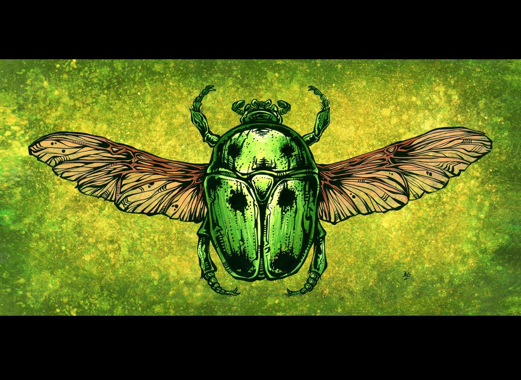 The Scarab Beetle -  - Animals